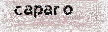Reload Image
