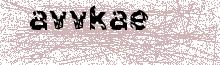 Reload Image